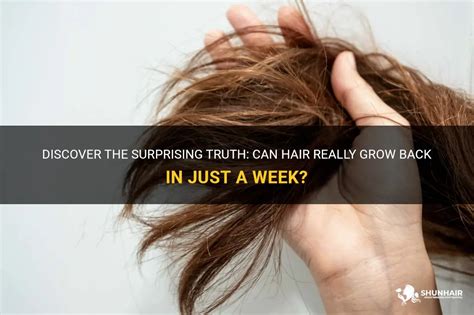 Can hair grow back in 3 weeks?