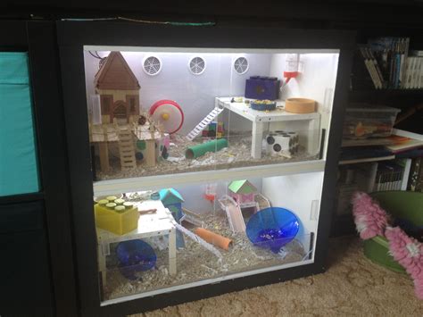 Can hamsters be in a room with a TV?