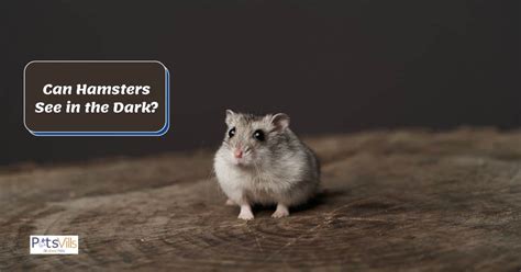 Can hamsters sense danger?