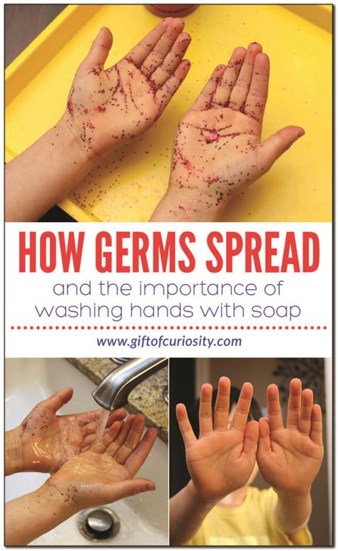 Can hands spread germs?