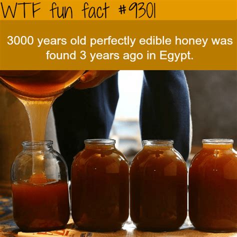 Can honey last 3000 years?