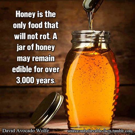 Can honey stay edible for 3000 years?