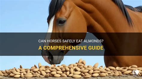 Can horses eat almonds?