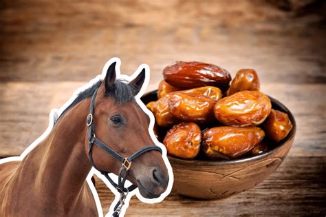 Can horses eat dates?