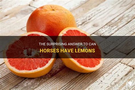 Can horses eat lemons?