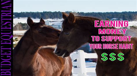 Can horses make you money?