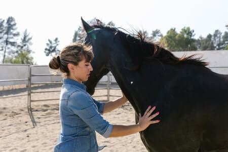 Can horses sense a bad person?