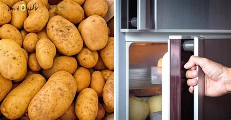 Can hot potatoes go in the fridge?