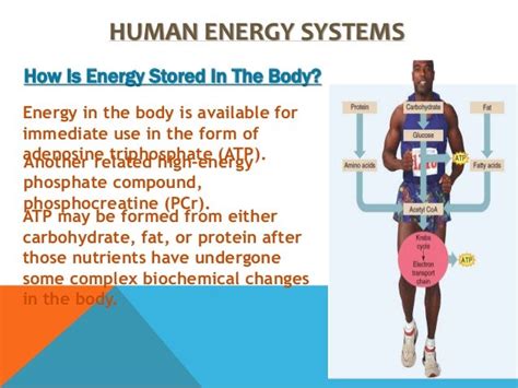 Can human energy be stored?