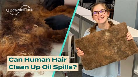 Can human hair absorb oil?