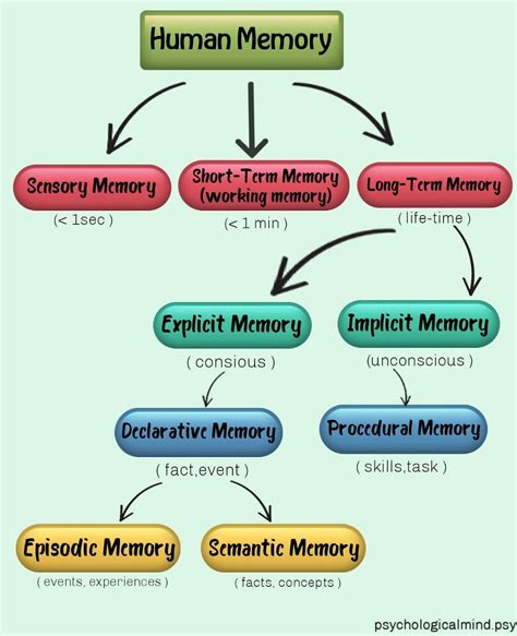 Can human memory be full?