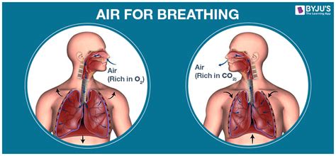 Can humans breathe 100% O2?
