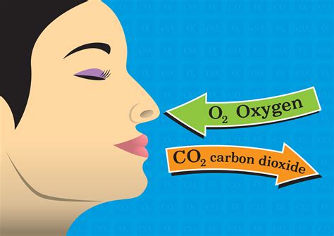 Can humans breathe o2?