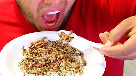 Can humans eat giant mealworms?