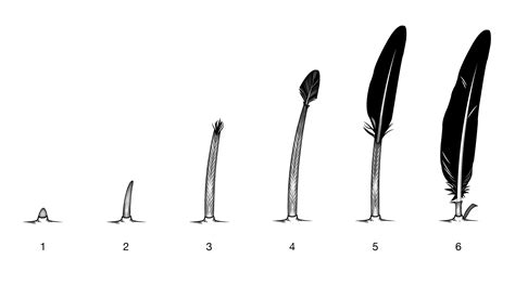 Can humans grow feathers?