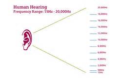 Can humans hear 96kHz?