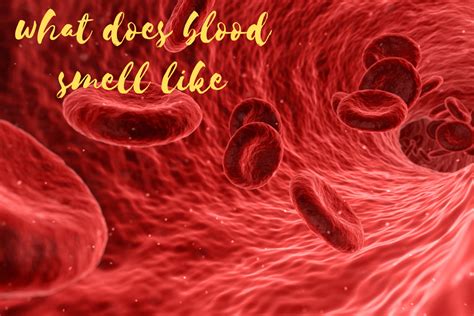 Can humans smell fresh blood?