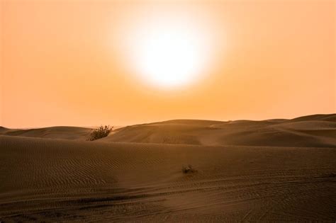 Can humans survive 100 degrees Celsius?