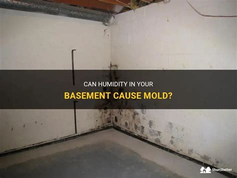 Can humidity in basement cause mold?