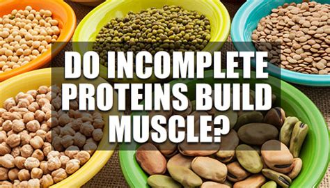 Can incomplete protein build muscle?
