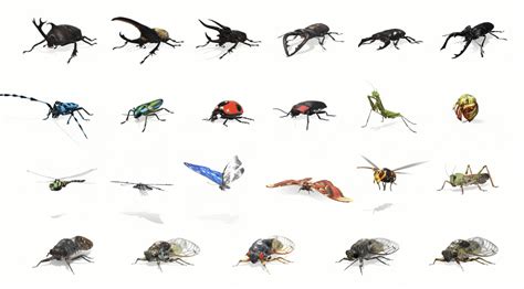 Can insects see in 3D?
