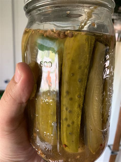 Can jarred pickles mold?