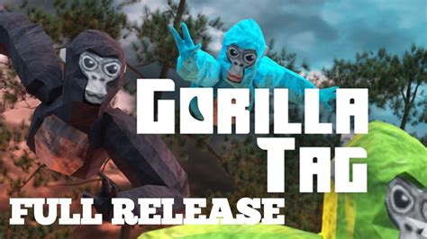 Can kids play gorilla tag?