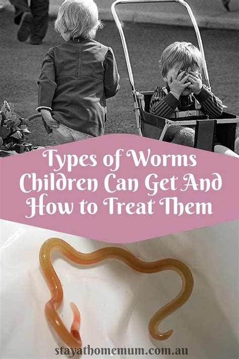 Can kids touch worms?