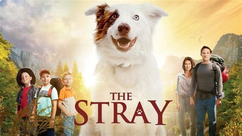 Can kids watch The Strays?