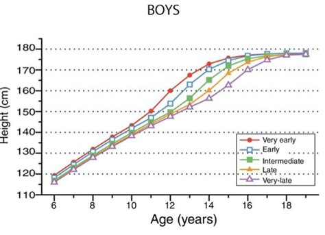 Can late bloomers be tall?