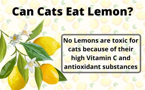 Can lemon poison cats?