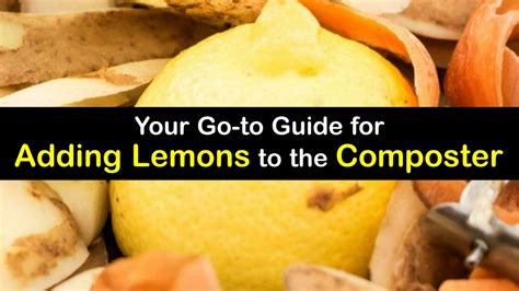 Can lemons go in compost?