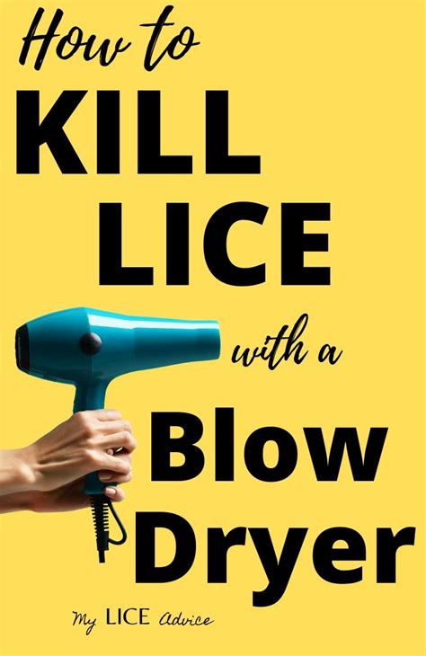 Can lice be killed with hair dryer?