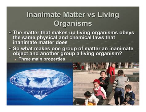 Can life come from matter?