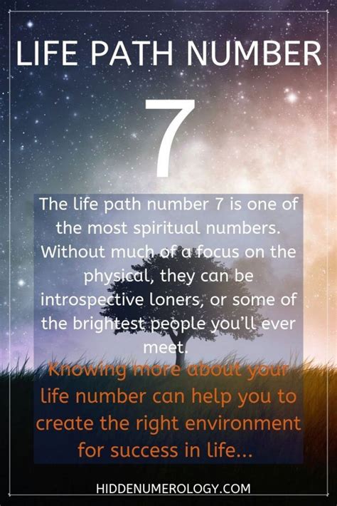Can life path 7 find love?