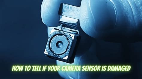 Can light damage a camera sensor?