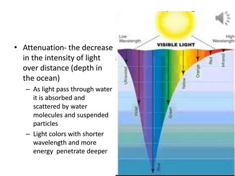 Can light travel in water?