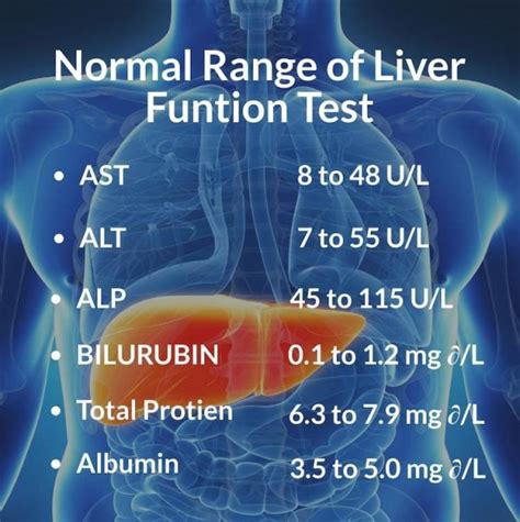 Can liver levels go back to normal?