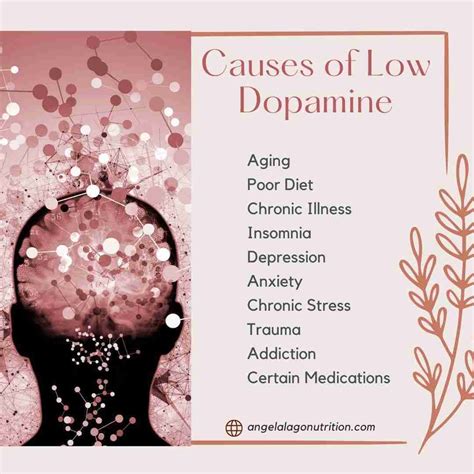 Can low dopamine cause low libido?
