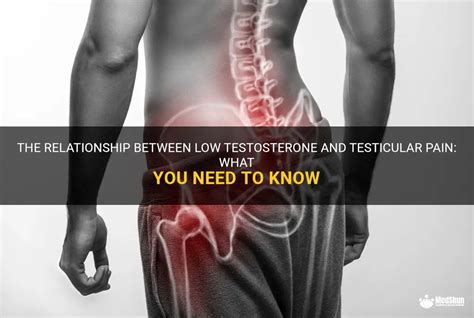 Can low testosterone cause testicular pain?