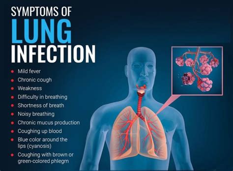 Can lung infection last for months?