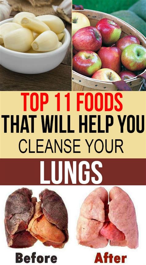 Can lungs recover from mould?