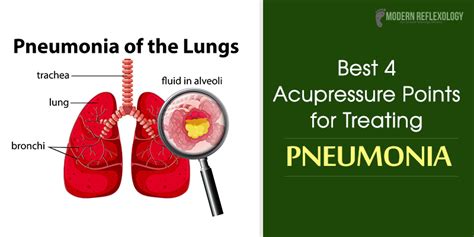 Can lungs repair themselves after pneumonia?