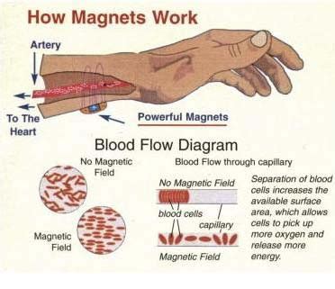 Can magnets help your heart?