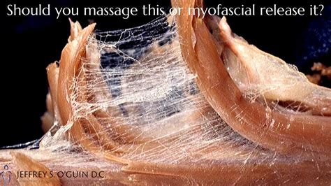 Can massage release fascia?