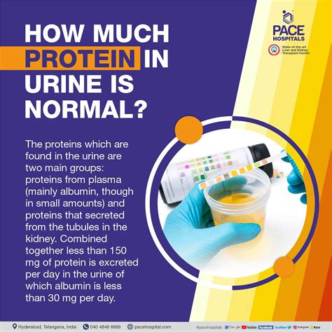 Can menstrual blood cause protein in urine?