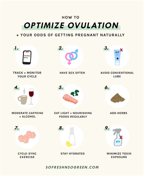 Can milk boost ovulation?