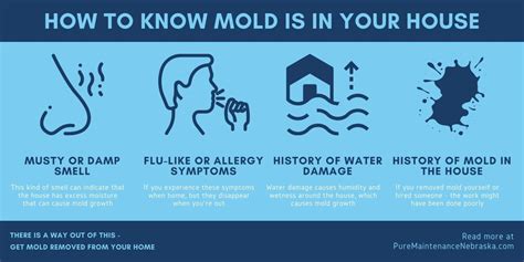 Can mold affect you mentally?