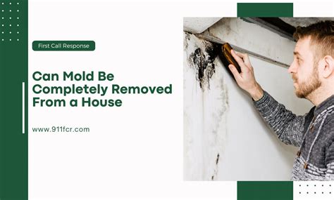 Can mold be fully removed from a house?