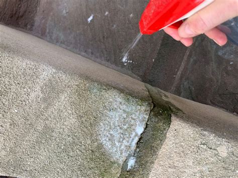 Can mold be removed from cement?